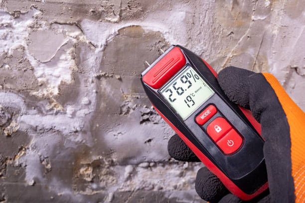 Best Crawl Space Mold Removal  in Gresham, OR