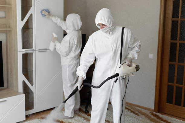 Certified Mold Removal in Gresham, OR